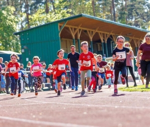 Bahnläufer zieht es am Mittwoch nach Ueckermünde