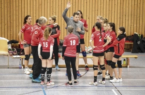 Volleyballerinnen legen in der Landesklasse Ost los