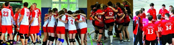 Einheit-Volleyballer starten in neue Saison