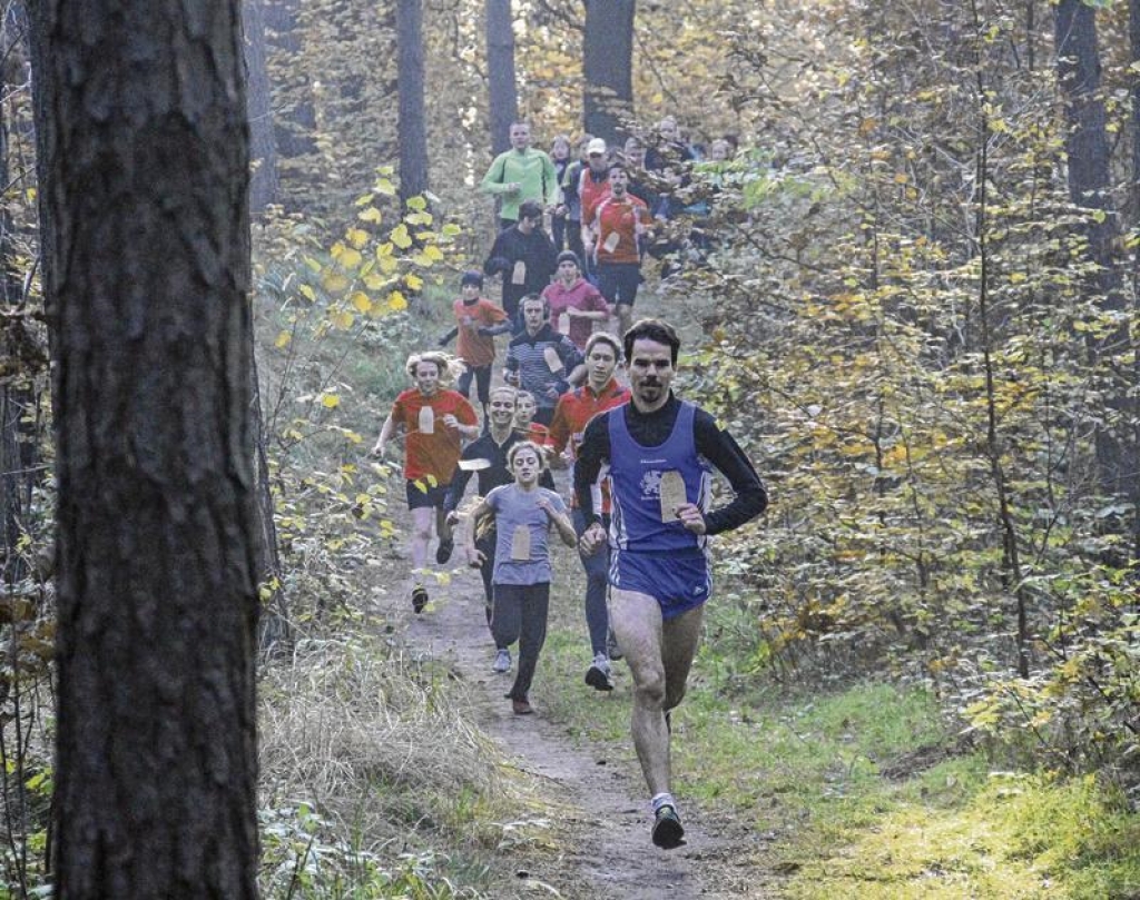 Cross-Serie steht vor 17. Auflage