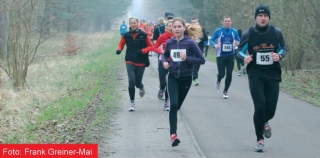 31. Ueckermünder Haffmarathon