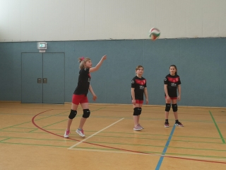 Volleyball: Nachwuchs landet auf dem Podium