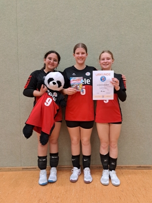 Volleyball-Landesmeisterschaft U13
