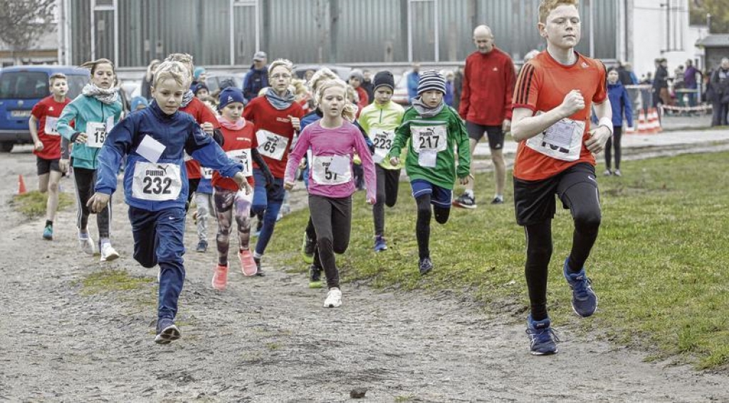 126 Athleten nahmen in diesem Jahr am Jatznicker Waldlauf teil. FotoS: Andy Bünning und NK-Archiv