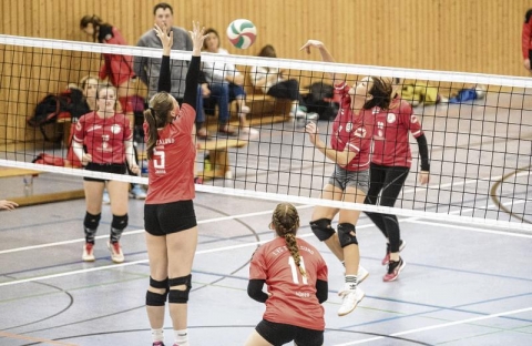 Am kommenden Wochenende hätten Ueckermündes Volleyballerinnen eigentlich in Neubrandenburg antreten sollen. Gegner wären dort die beiden besten Teams der Hinserie gewesen. Die Absage kam am Montag. Foto: Andy Buenning