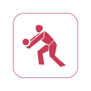 Volleyballteams wollen in Greifswald punkten