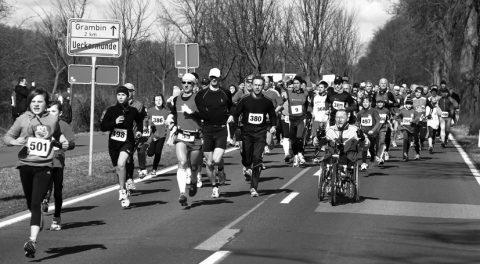 28. Ueckermünder Haffmarathon